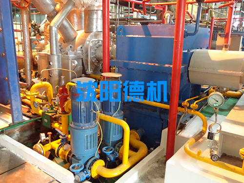 浙江臺州發(fā)電廠